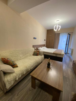 Crystal resort b209